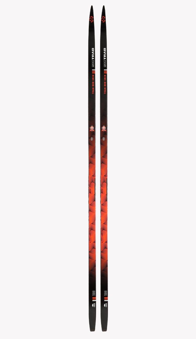SKIS TEAM DUO SKIN EVO + RMP