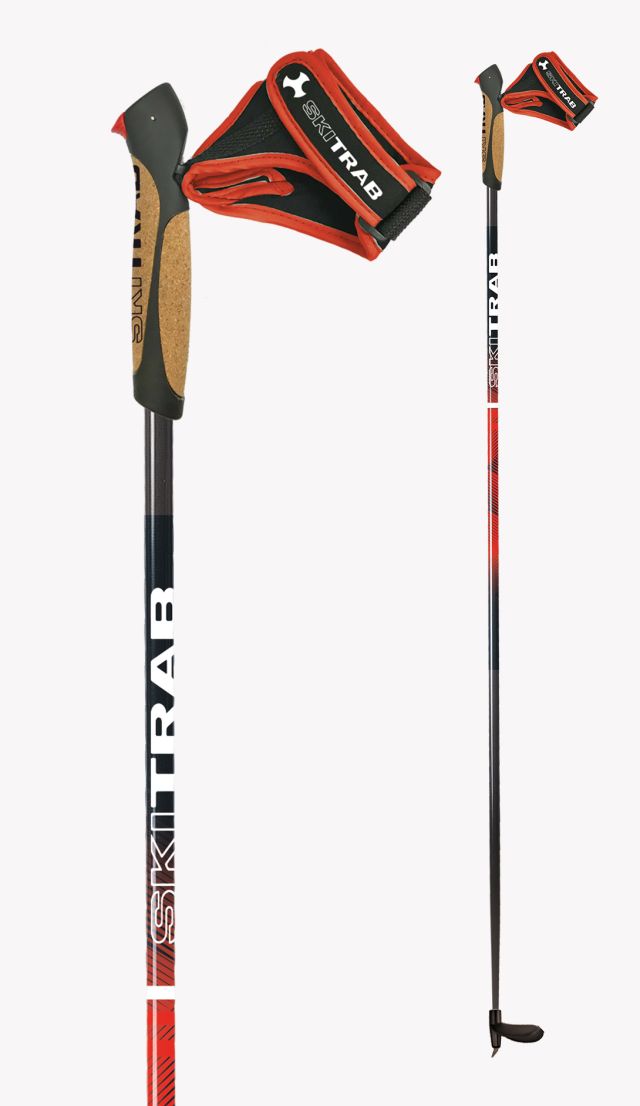 POLE TEAM COMP CARVE 17